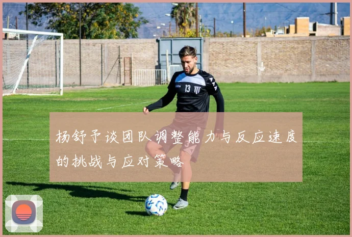 杨舒予谈团队调整能力与反应速度的挑战与应对策略